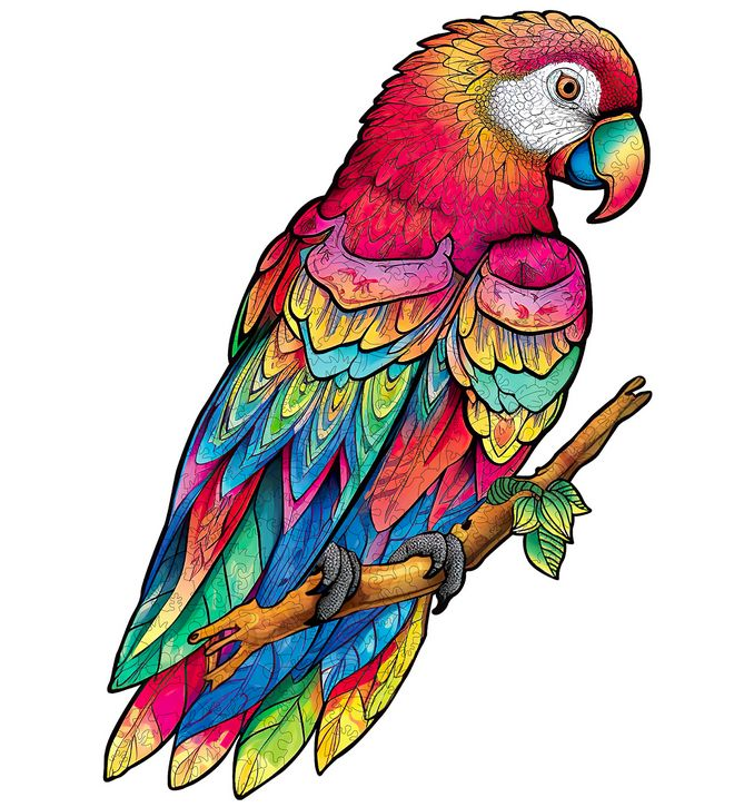 The Feathered Challenge: A Macaw Puzzle